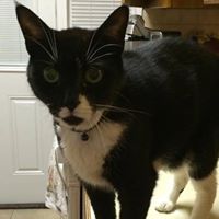 Danielle Marsh Photo 37