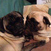 Rose Redding Photo 9