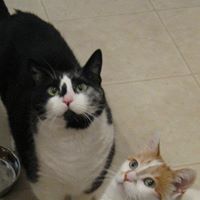 Patricia Tracy Photo 28