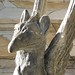 Sherry Griffin Photo 9