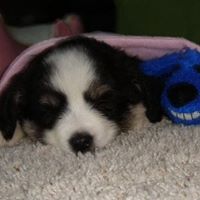 Susan Winter Photo 27