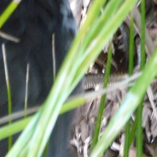 Tracy Ward Photo 28