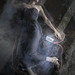 Judith Sherman Photo 23