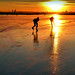 Richard Hadden Photo 31