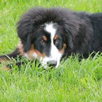 Gina Proctor Photo 12