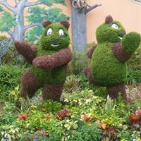 Judith Middleton Photo 18