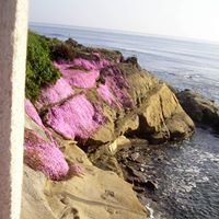 Debbie Timmons Photo 21