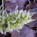 Joy Moss Photo 31