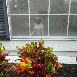 Denise Noble Photo 18