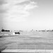 Dennis Gilbert Photo 16