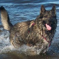 Cheryl Koch Photo 18