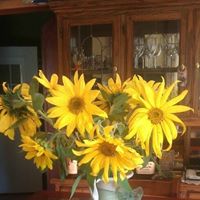 Sandra Hatfield Photo 21