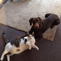 Catherine Collins Photo 22