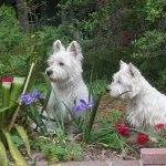 Barbara Mccaleb Photo 2