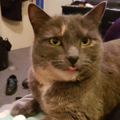 Stacey Coleman Photo 14