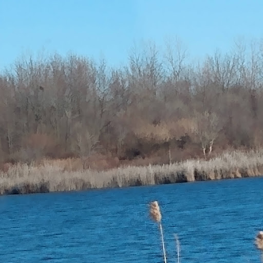 David Calloway Photo 37