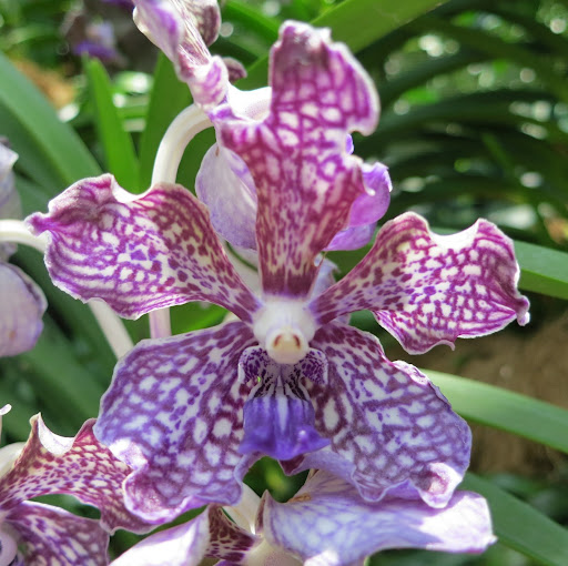 Kathleen Mccaffrey Photo 14