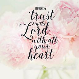 Paul Samuel Photo 17