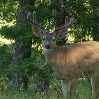 James Simonds Photo 15