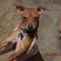 Ken Ragsdale Photo 13