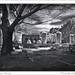 William Matson Photo 19