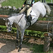 Sarah Healey Photo 38