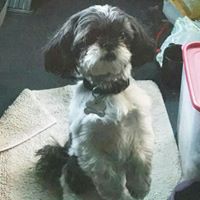 Nancy Clouse Photo 12