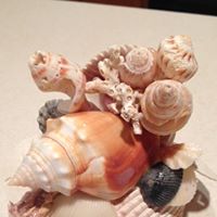 Nancy Whipple Photo 16