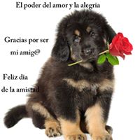 Victoria Barber Photo 5