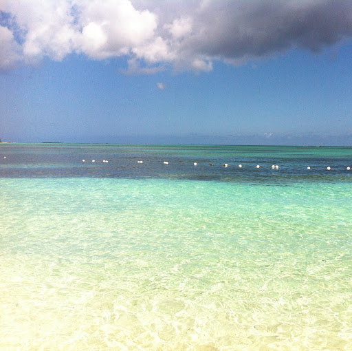 Dorothy Richardson Photo 43