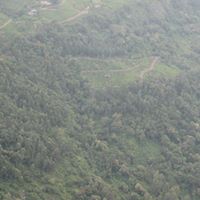 Randy Strong Photo 9