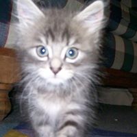 Christine Inman Photo 6