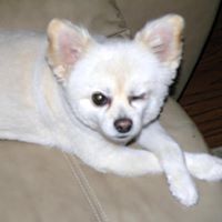 Gail Delorey Photo 4