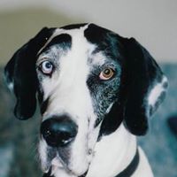 Jerry Dunham Photo 5