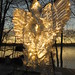 Timothy Knickerbocker Photo 6