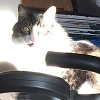 Michele Stanley Photo 14