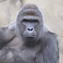 Matthew Costa Photo 24