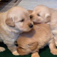 Bryan Vaughan Photo 21