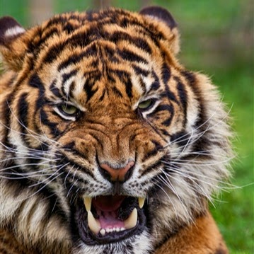 Angela Richter Photo 27 Angela Richter Photo 27