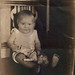 Ann Feldman Photo 16