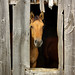 Janice Dunning Photo 3
