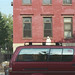 Maria Carroll Photo 45