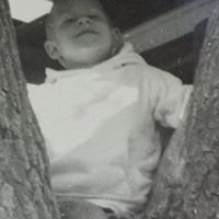 Steve Wyman Photo 34