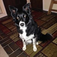 Randi Scott Photo 20