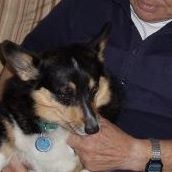 Helen Myers Photo 26