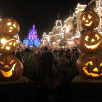 Lisa Cosgrove Photo 28