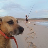 James Downes Photo 9