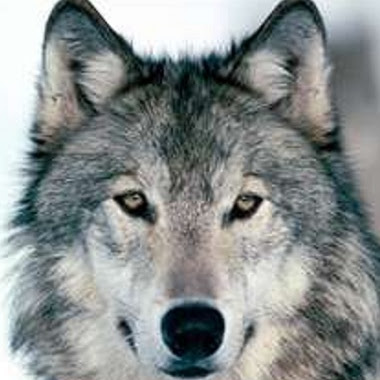 Julian Tapia Photo 8