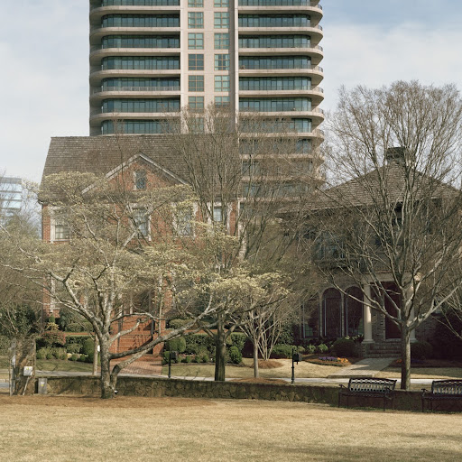 Alison Smith Photo 16