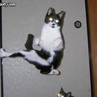 Kelly Maynor Photo 8